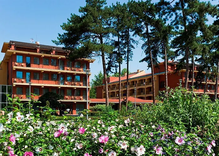 アズール シオフォク